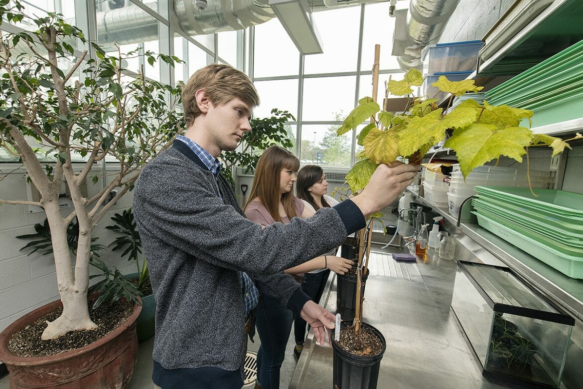 Person with plant